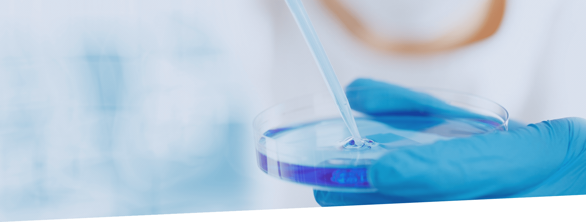 1xBET·Signup(中国区)-官方网站